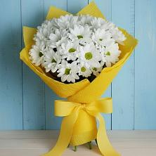 Букет цветов из:  Хризантемы в Шамхал-Термене