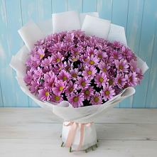 Букет цветов из:  Хризантемы #REPLACE_PRED# Шамхал-Термене