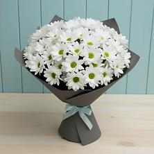 Букет цветов из:  Хризантемы в Шамхал-Термене